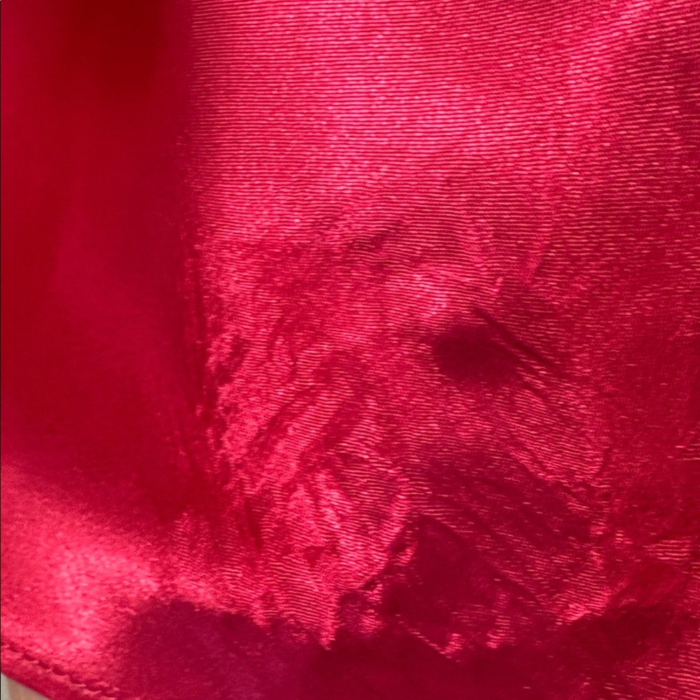 Pink Poodle Skirt - Picture 7 of 7